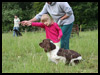 Gundog Image