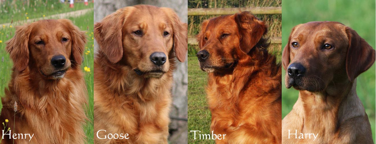 20240530 Mid Page Banner